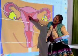 Learning Reproductive Anatomy