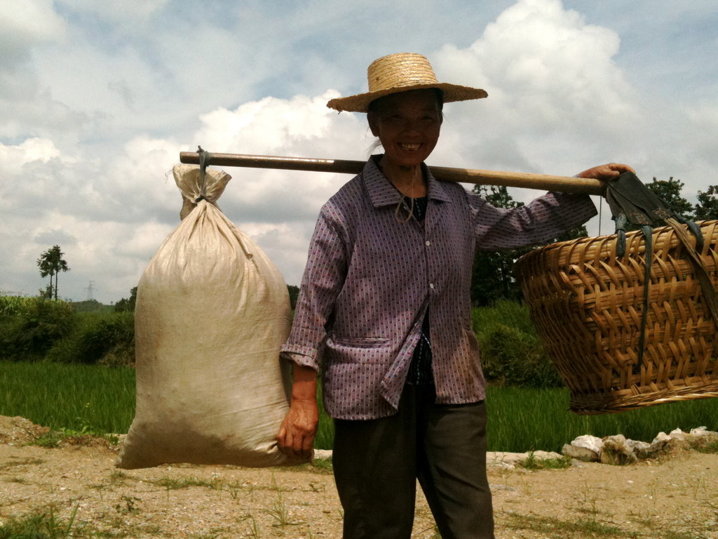 Train and link-up Chinese small-scale farmers