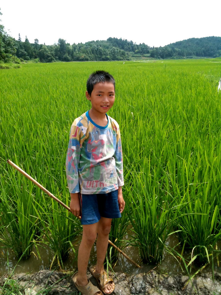 Train and link-up Chinese small-scale farmers