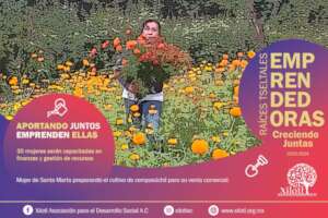 Emprendimientos Agroecologicos