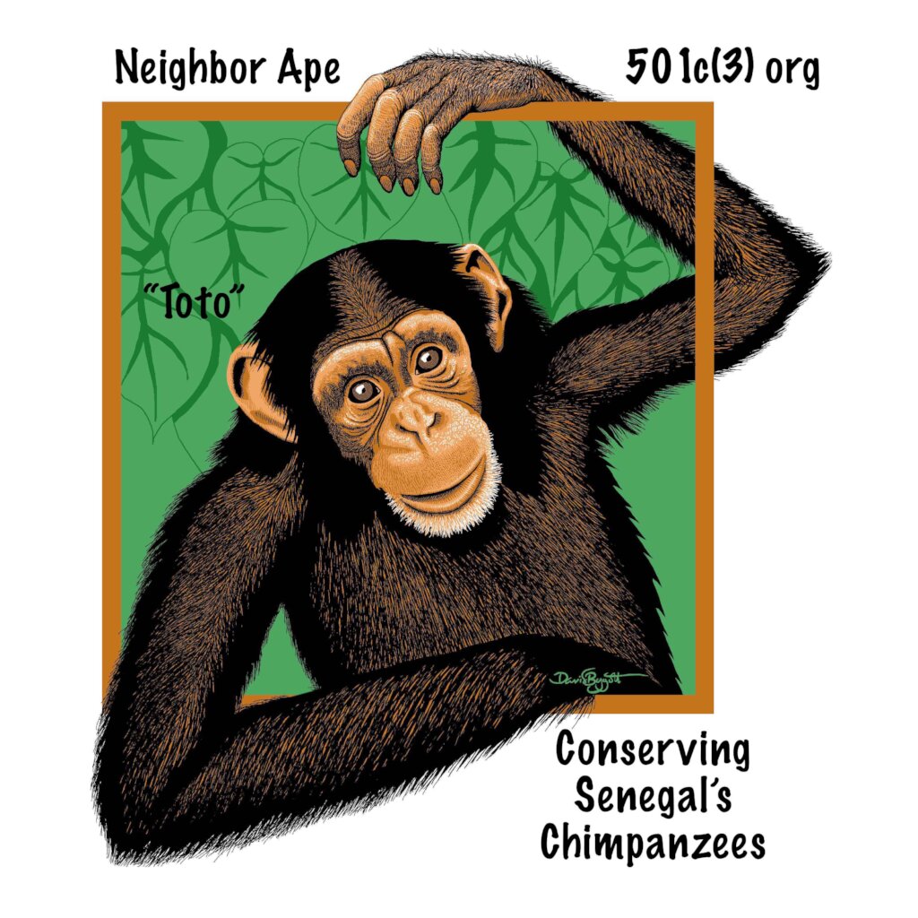 Fongoli Savanna Chimpanzee Project