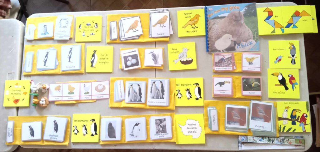 Birds hands on learning materials