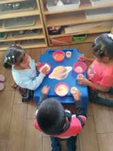 Preschool students doing science experiment