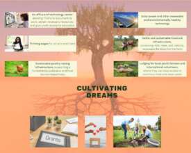 Partnership|Diversifying Funding|Capacity Building