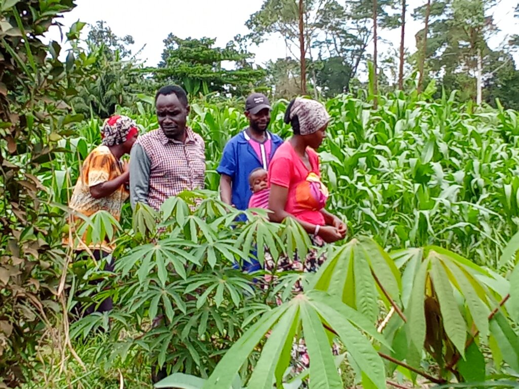 Cultivating Capacity: Empower Rural Ugandan Youth!