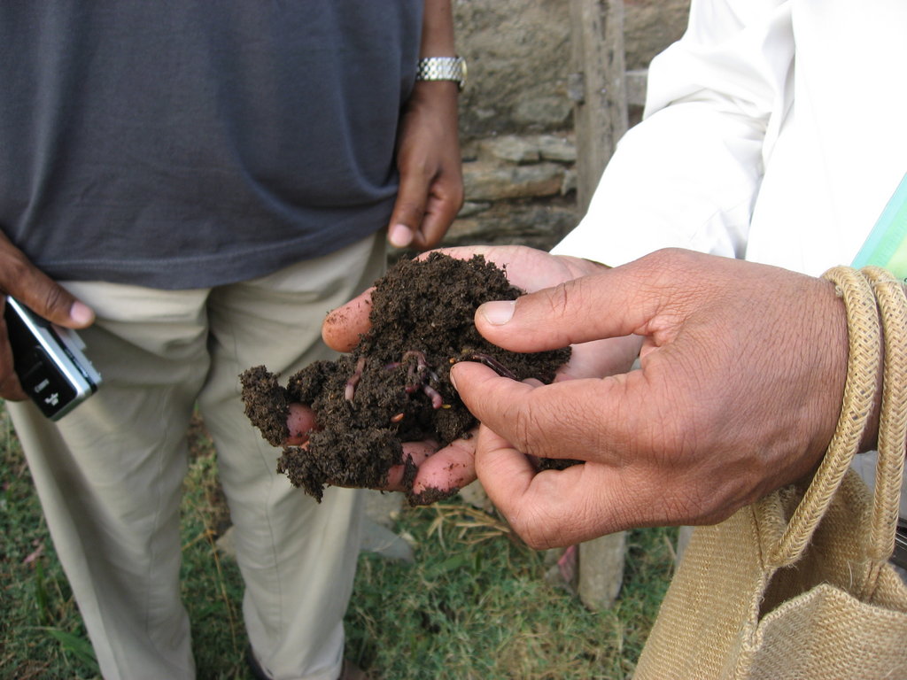 Environmental conservation builds families, India