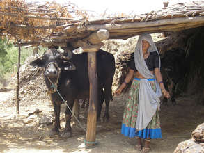 Environmental conservation builds families, India
