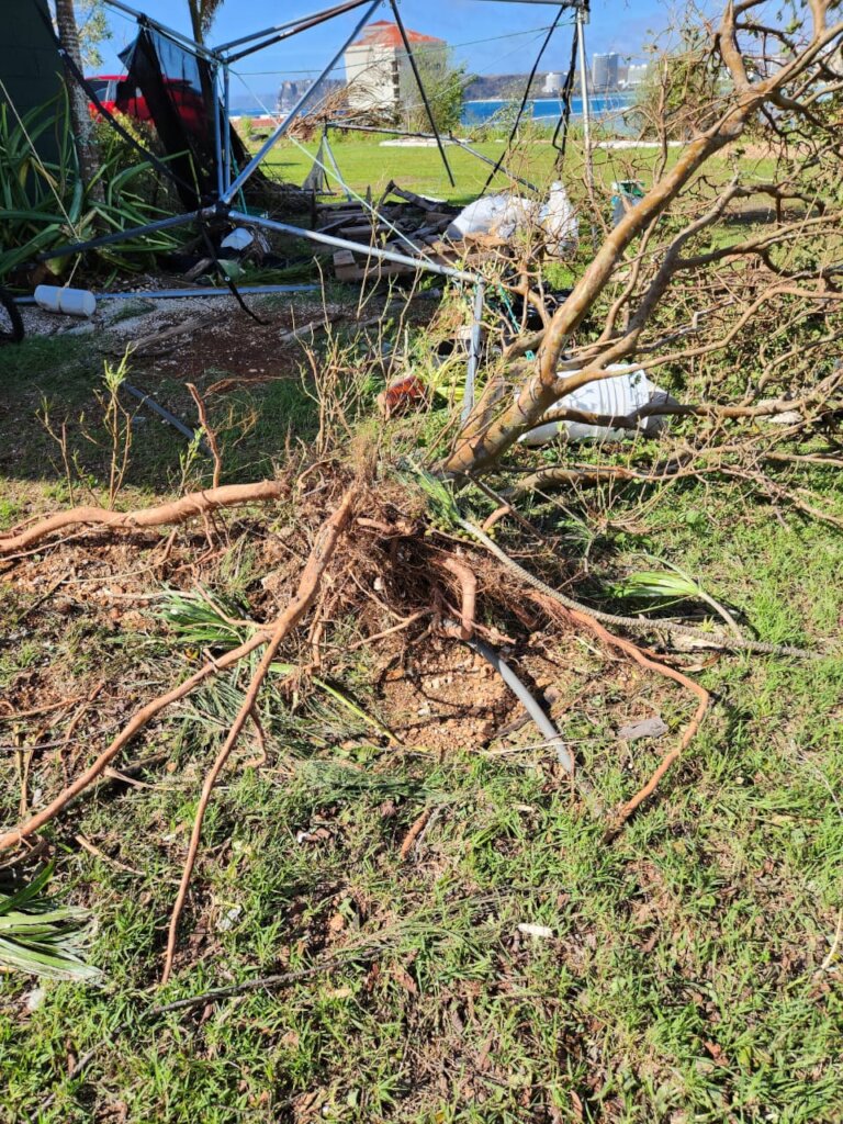 Recovery Efforts- Guam Farmers from Super Typhoon