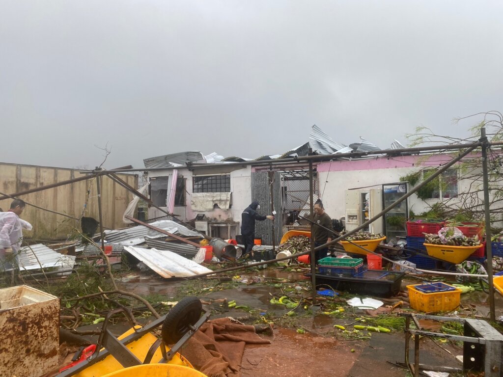 Recovery Efforts- Guam Farmers from Super Typhoon