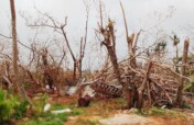 Recovery Efforts- Guam Farmers from Super Typhoon