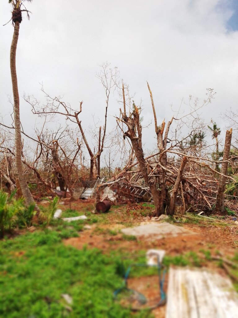Recovery Efforts- Guam Farmers from Super Typhoon