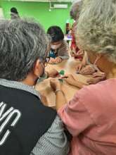 Group activities