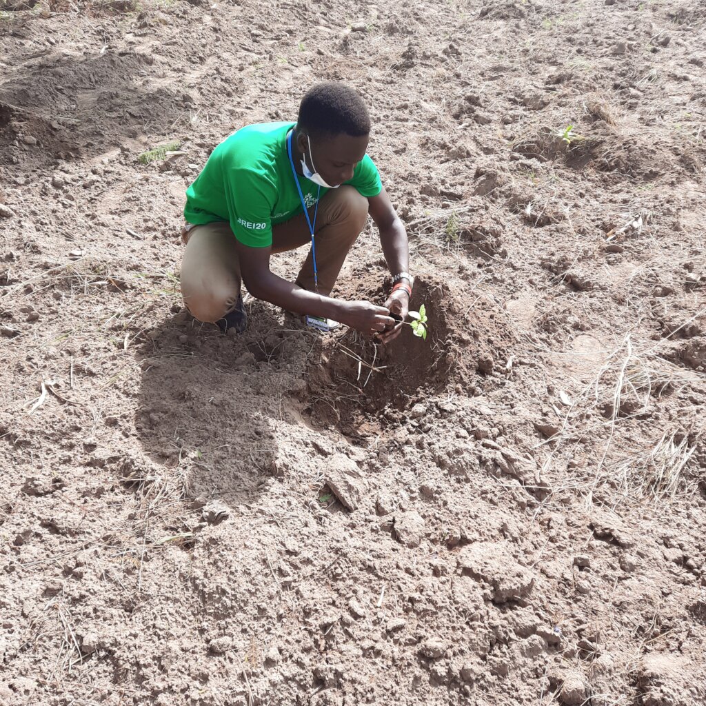 How to Share Plant 100,000 Indigenous Trees in Uganda, Africa ...