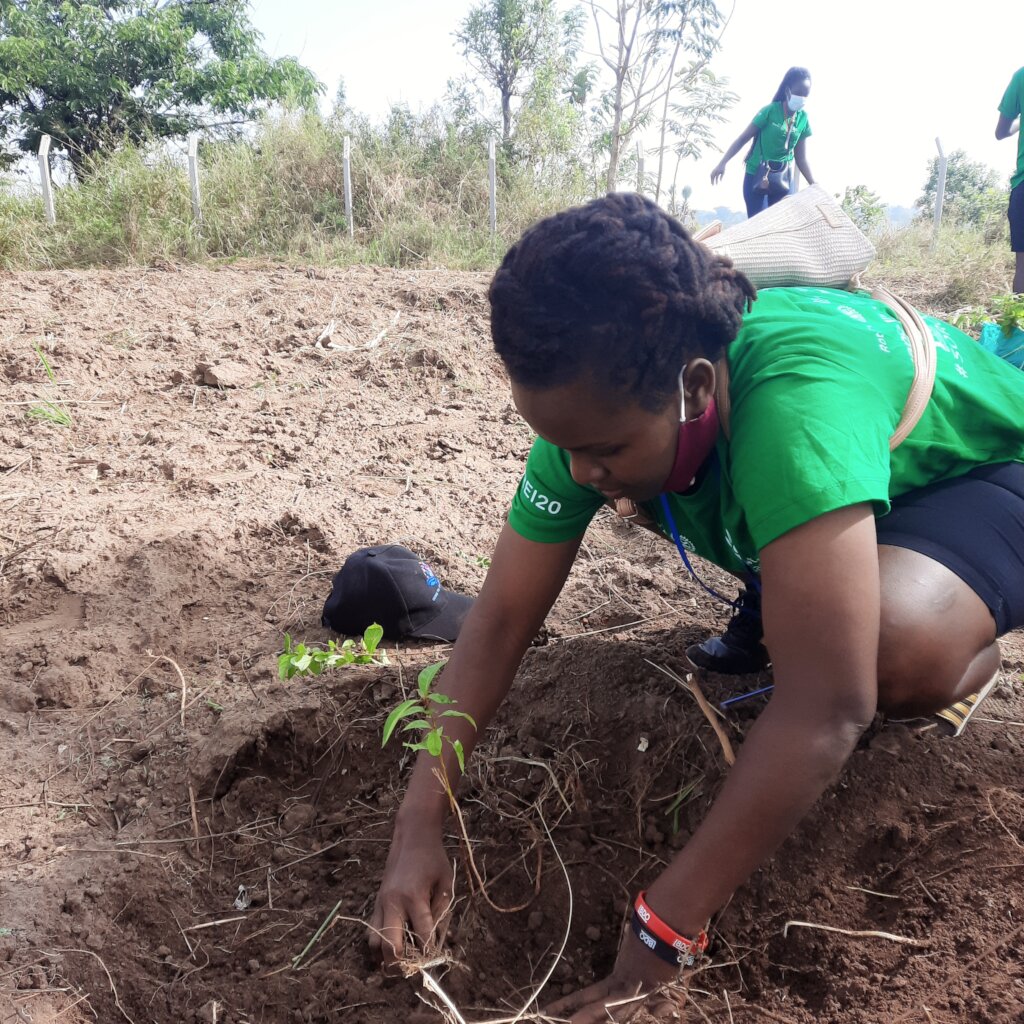 Plant 100,000 Indigenous Trees in Uganda, Africa GlobalGiving