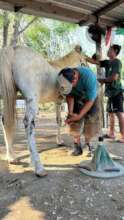 Rainbow getting his manicure and pedicure