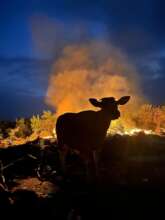 the only 2025 fire rapidly controlled and off
