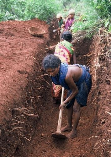 Building dignity through habitat development India