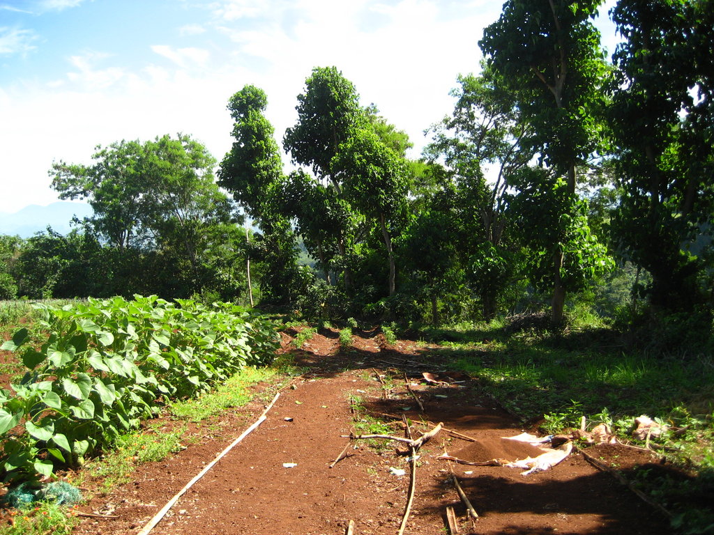 Early education for sustainability in Philippines