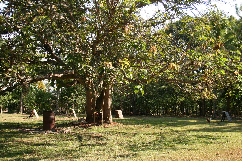 Early education for sustainability in Philippines