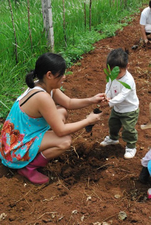 Early education for sustainability in Philippines