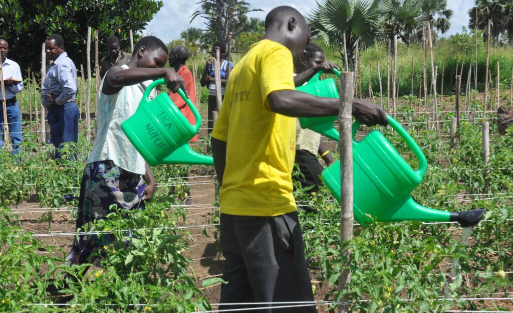 Support Smallholder farming a path out of poverty