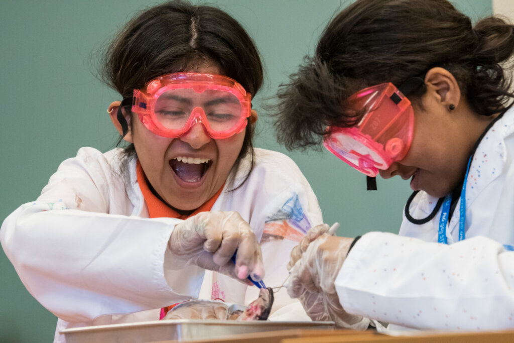 Inspire Future STEM Leaders!
