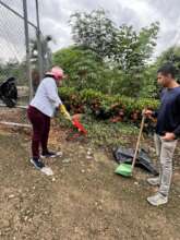 Enviromental Project Creating Green areas
