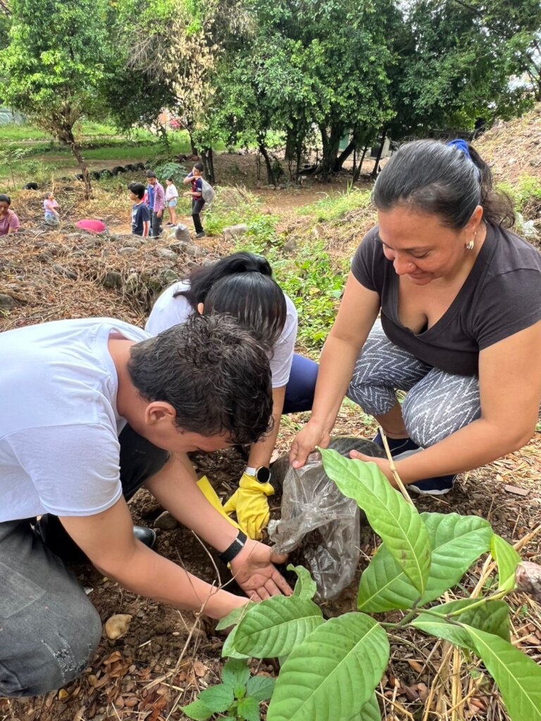 Enviromental Project