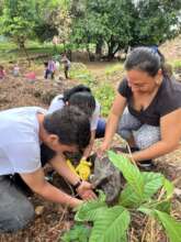 Enviromental Project