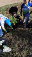 Enviromenta Actity 3