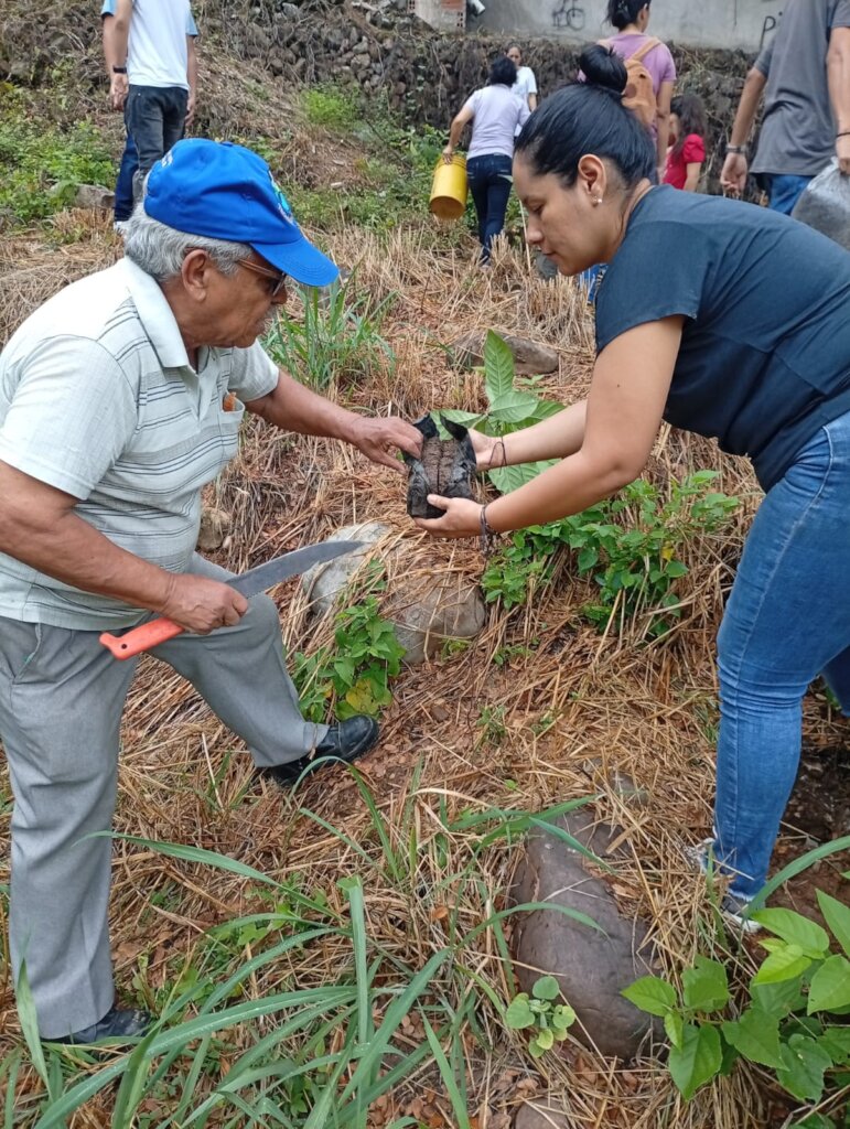 Enviromental Project Creating Green areas