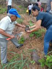 Enviromental Project Creating Green areas