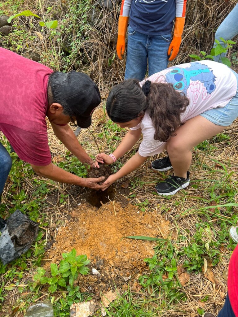 Enviromental Project Creating Green areas