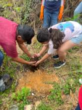 Enviromental Project Creating Green areas
