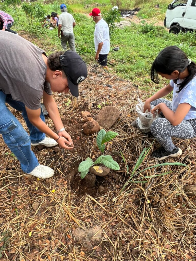 Enviromental Project Creating Green areas