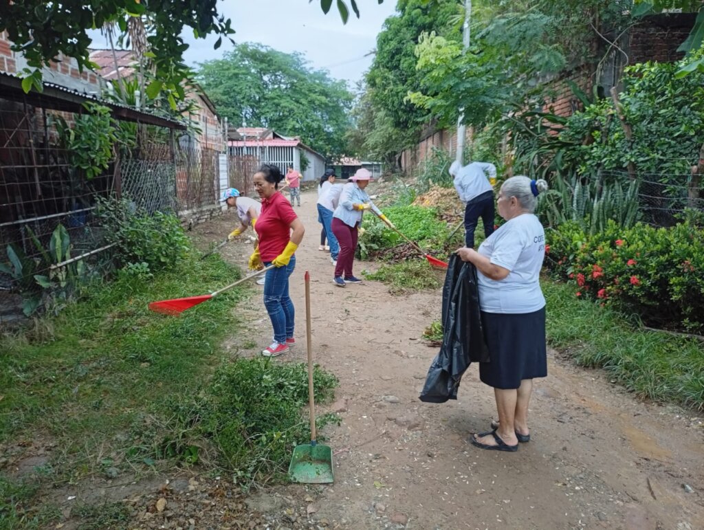 Enviromental Project Creating Green areas