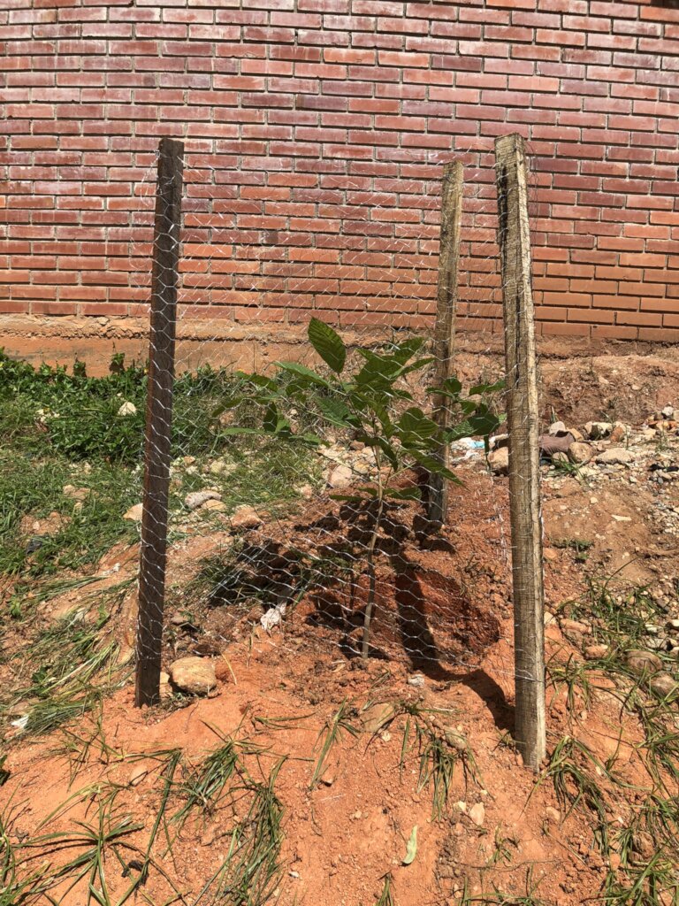 Transforming lives: Vulnerable children, Neiva Col