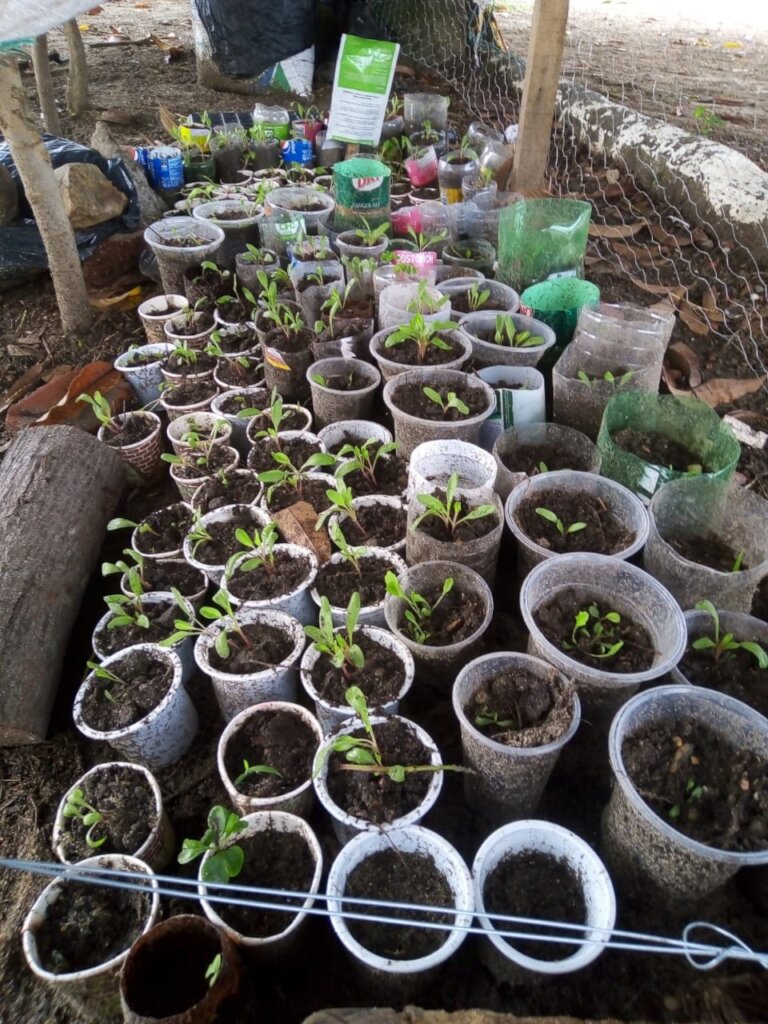 Transforming lives: Vulnerable children, Neiva Col