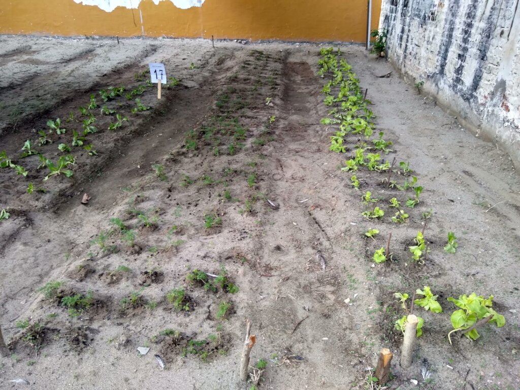 Transforming lives: Vulnerable children, Neiva Col