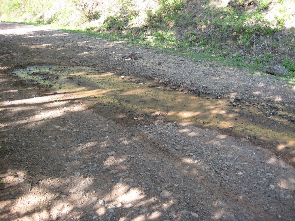 Clean Water for over 4,000 people in Honduras