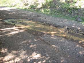 Water Main Leaks