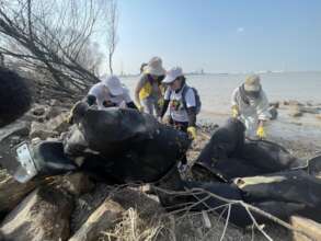 Volunteers were drugging out a heavy ship waste.