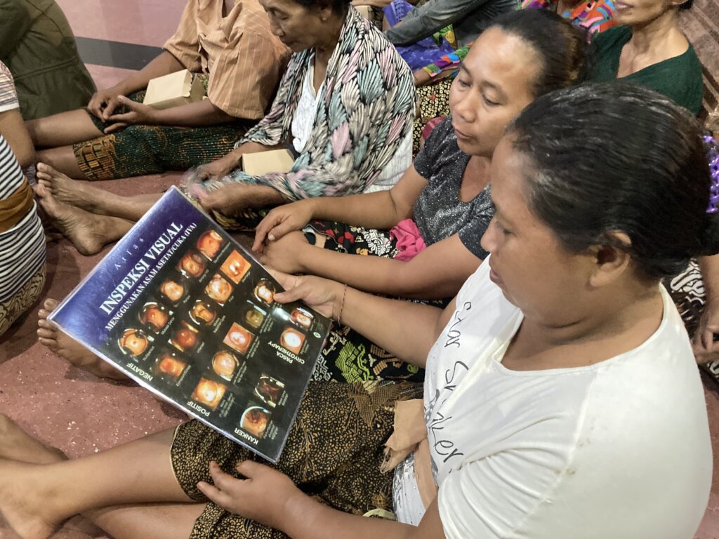 Help 1000 Bali Women Gain Health & Life Skills