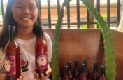 Fruit Processing Equipment for Improved Incomes