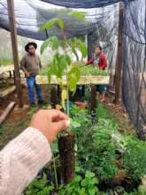 in the nursery