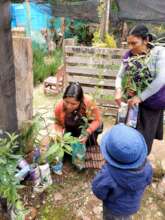 Women and fruit trees