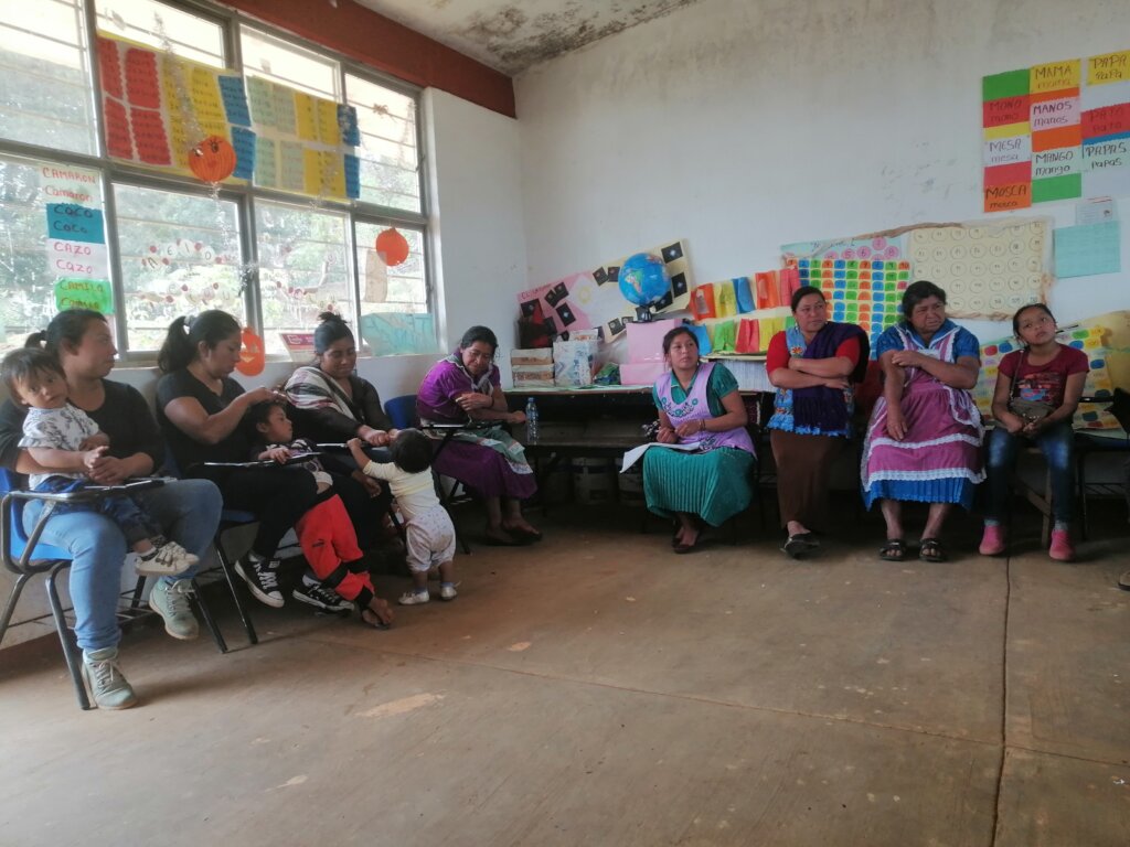 Seed Bank to empower indigenous women and girls.