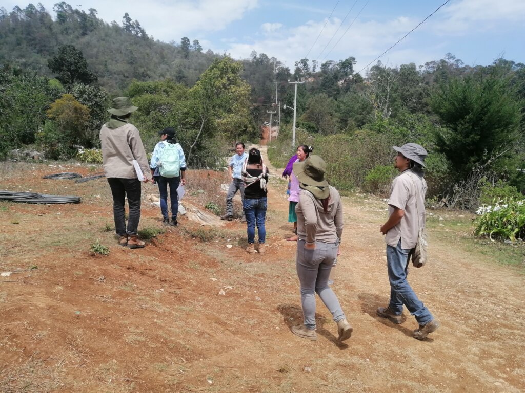 Seed Bank to empower indigenous women and girls.