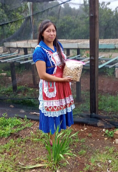 Seed Bank to empower indigenous women and girls.