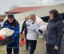 Delivering, Ukrainahjelpen Klippen, November 2025